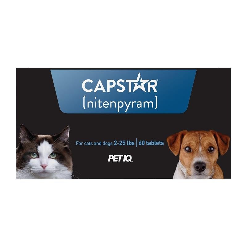 Buy Elanco Capstar Flea Tablets for Dogs & Cats Allivet