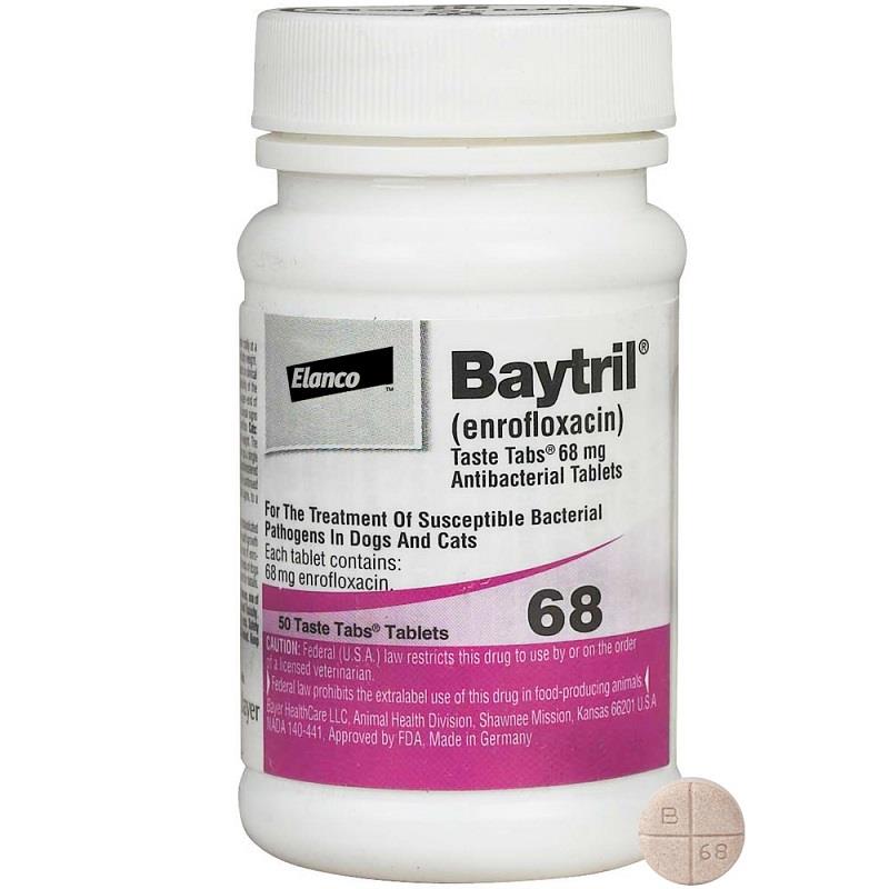 baytril side effects for dogs baytril side effects for dogs