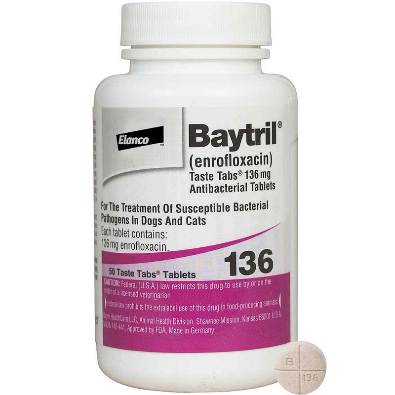 Cheap Baytril Tablet for Dogs and Cats Allivet Pet Pharmacy