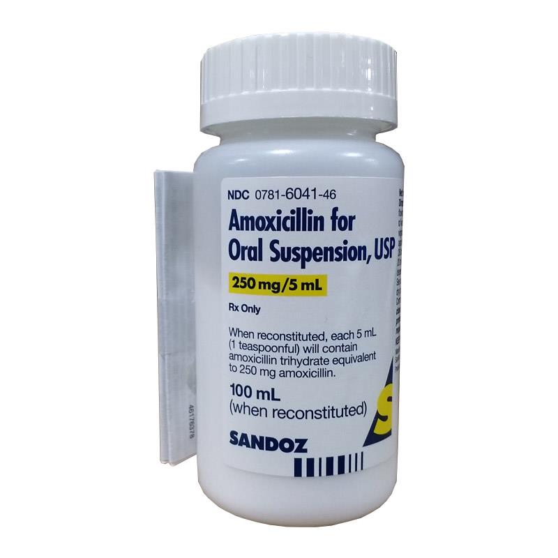 amoxicillin suspension