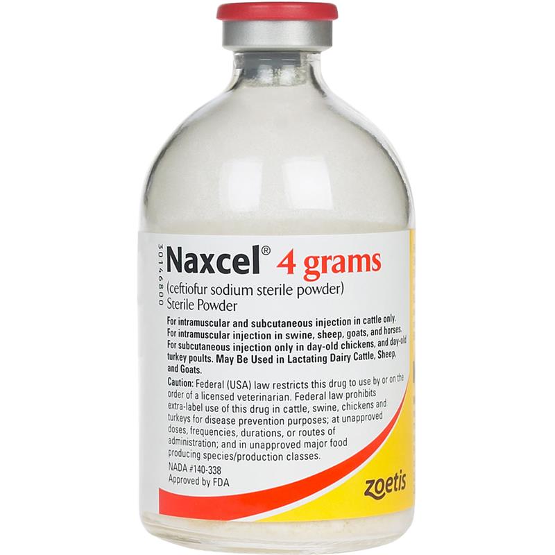 NAXCEL equine antibiotic Order NAXCEL for horses