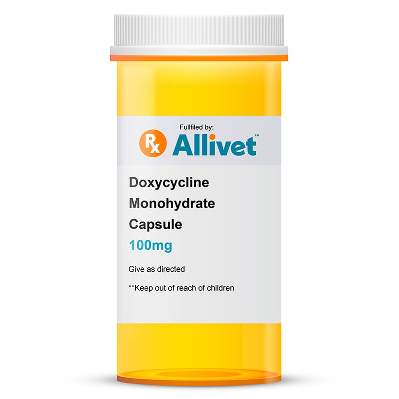 doxycycline monohydrate 100mg mg capsule capsules dogs cats horses expanded open