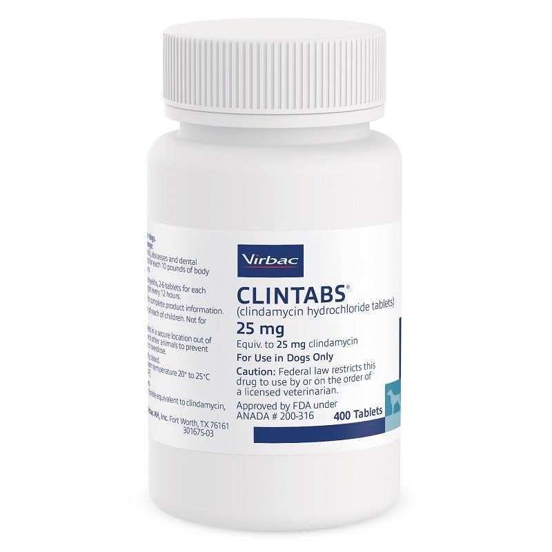 What is clindamycin for cats used to treat quickly