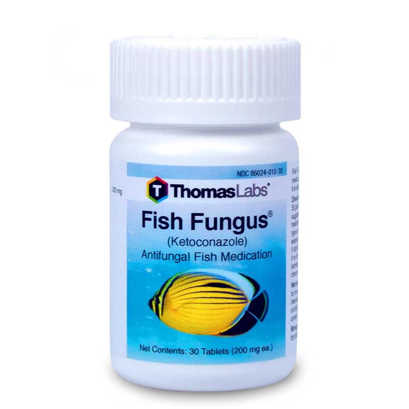 Fish Fungus