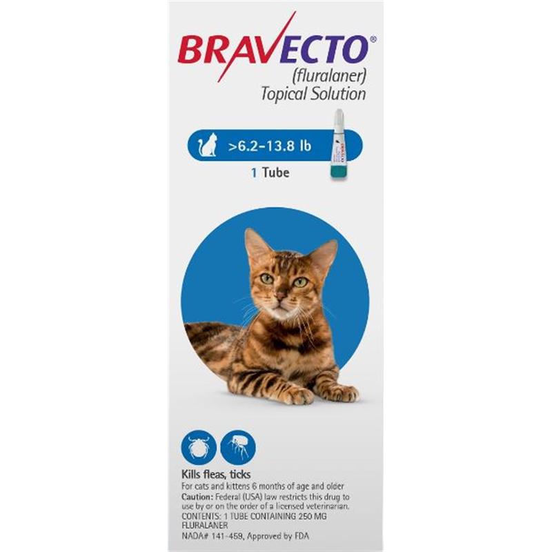 Bravecto Topical Solution for Cats Allivet