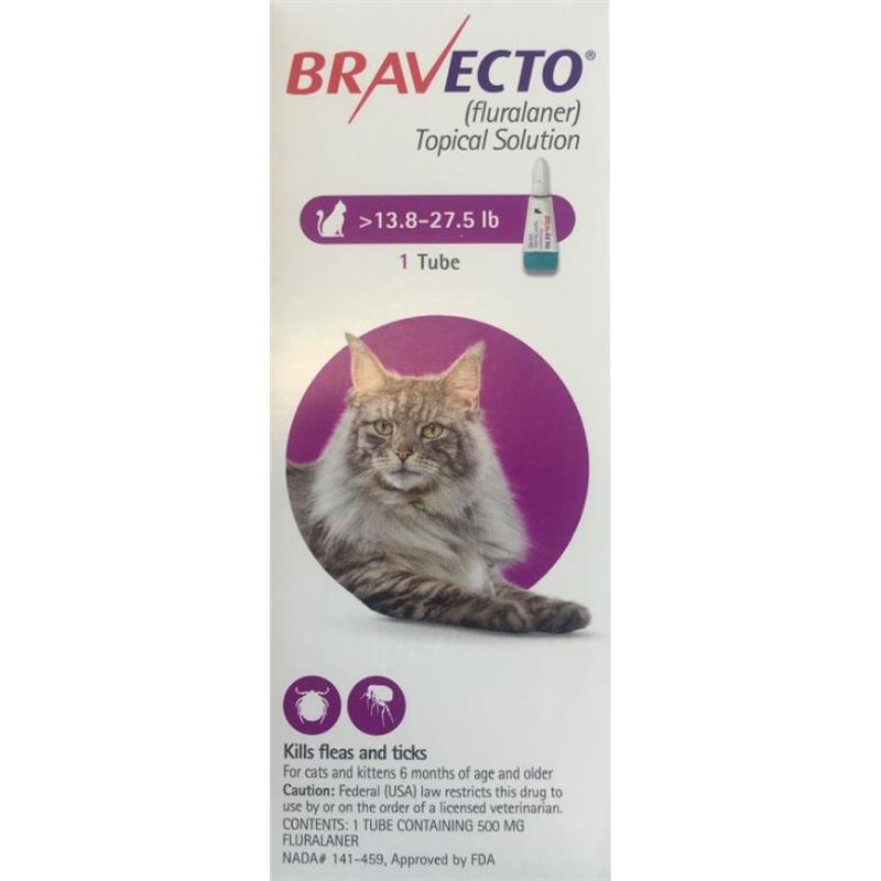 Bravecto Topical Solution for Cats Allivet