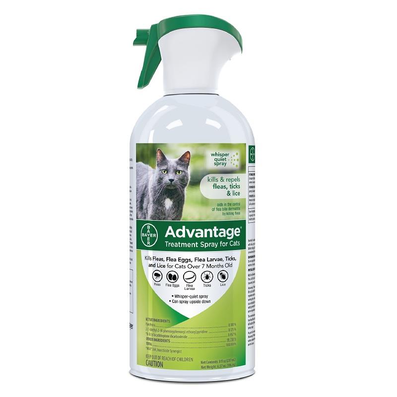 Advantage Flea And Tick Spray For Cats Reviews Advantage Flea And Tick Spray For Cats Reviews