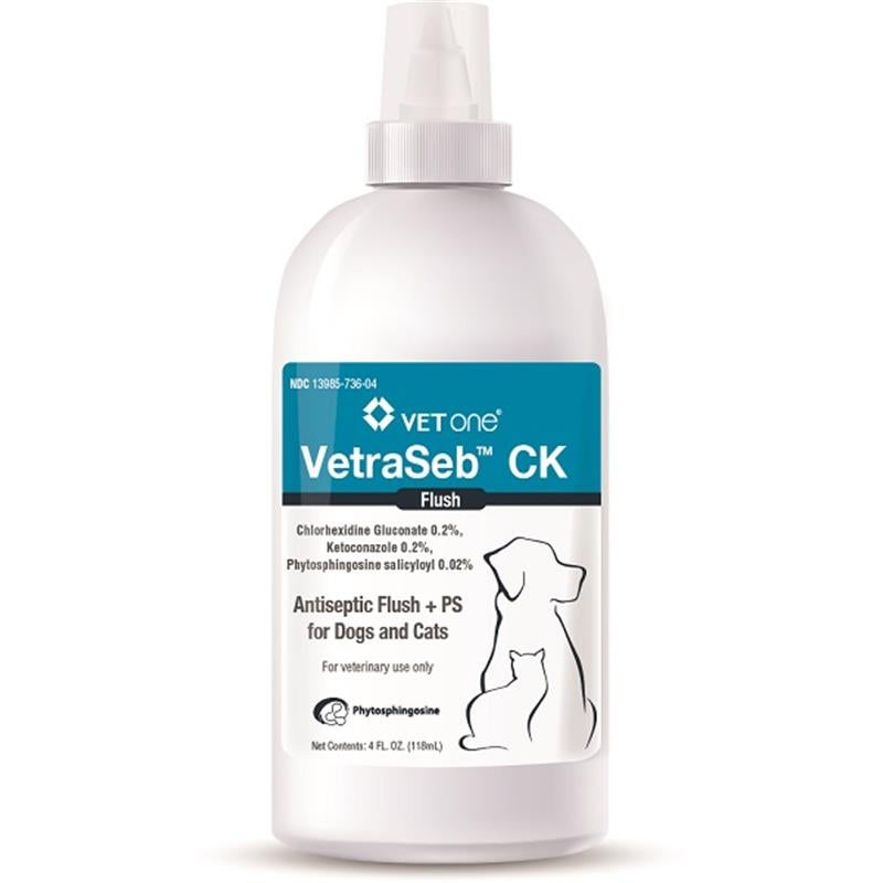 What Antiseptic Can Be Used On Cats What Antiseptic Can Be Used On Cats