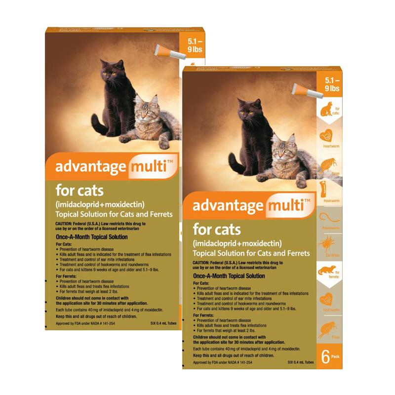 Advtanage Multi for Cats &amp; Kittens Bayer Topical Solution Allivet