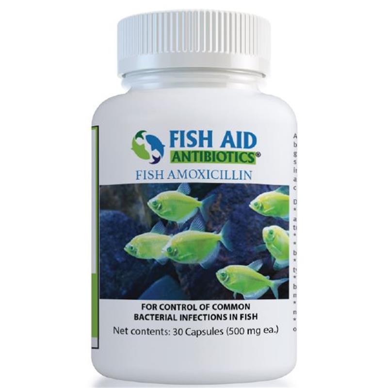 Fish Aid Antibiotics Amoxicillin Capsules