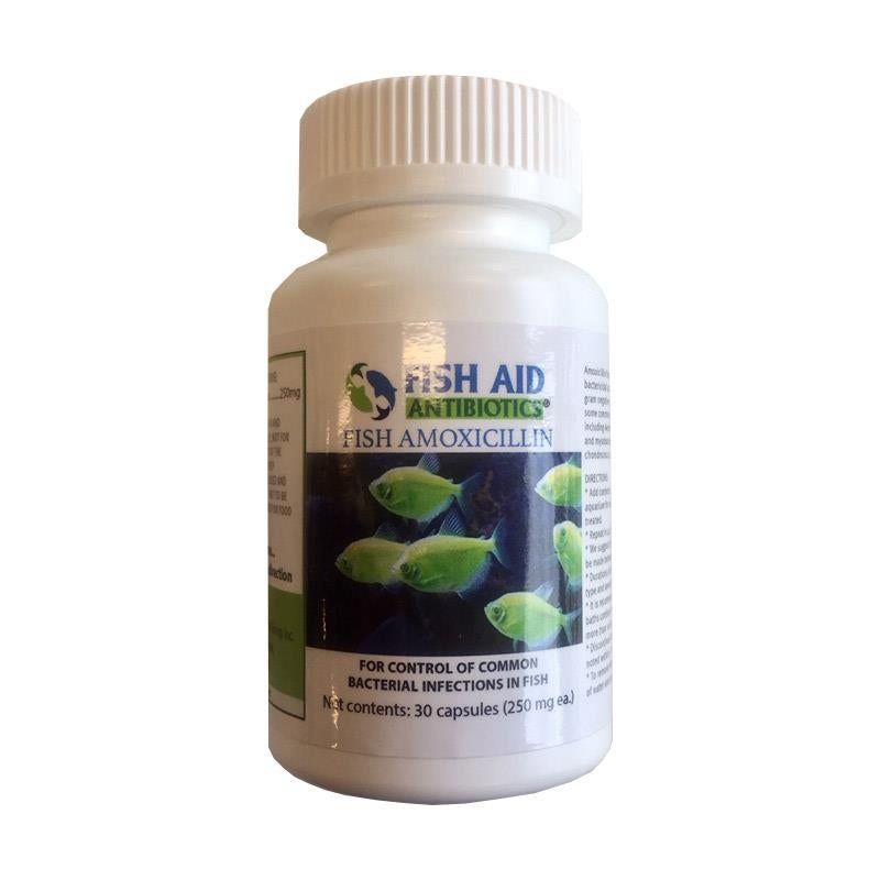 Fish Aid Antibiotics Amoxicillin Capsules