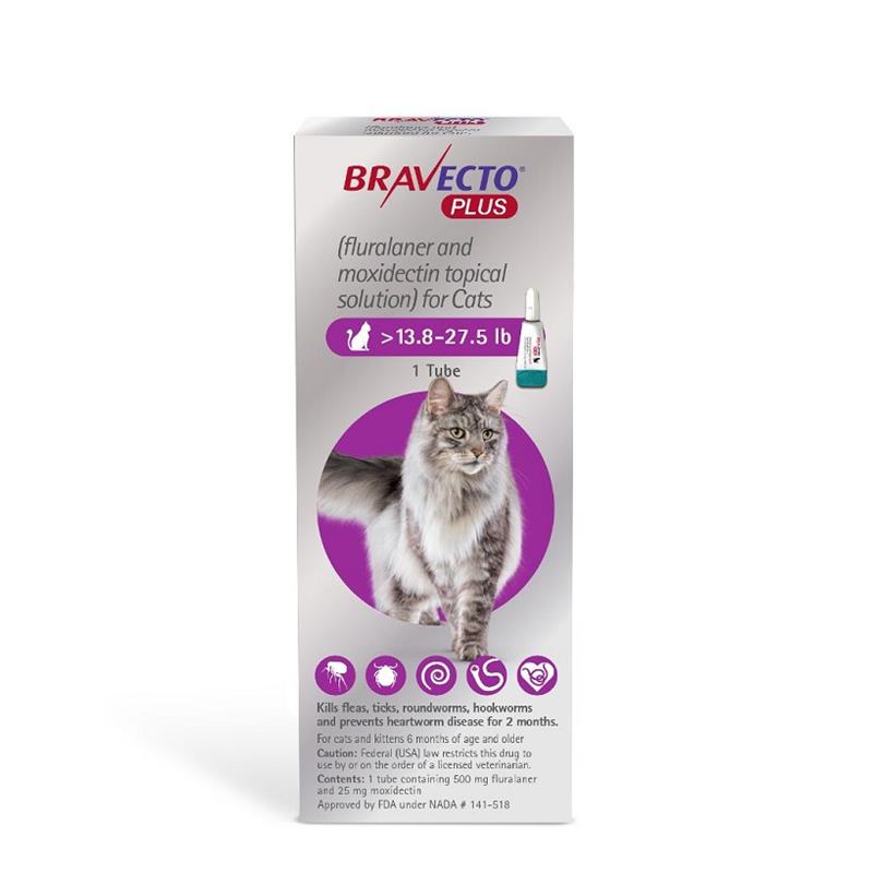 Bravecto Plus Topical Solution for Cats Allivet