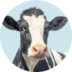 Livestock & Farm Care
