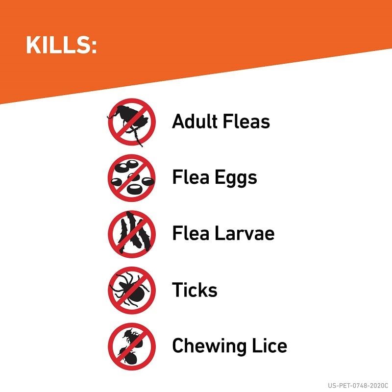 Does Frontline Plus Kill Ear Mites In Dogs