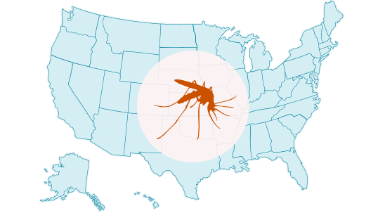 Map of the United States with a mosquito icon