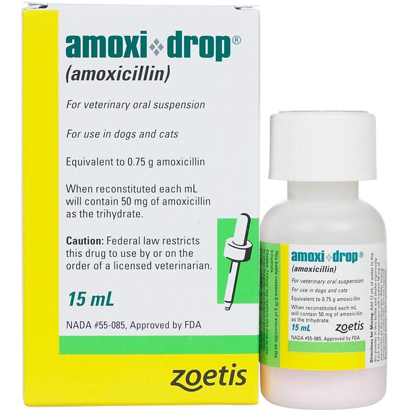 Amoxicillin for dogs tractor supply store