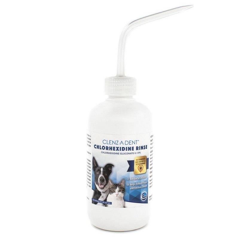 Chlorhexidine rinse on sale for dogs