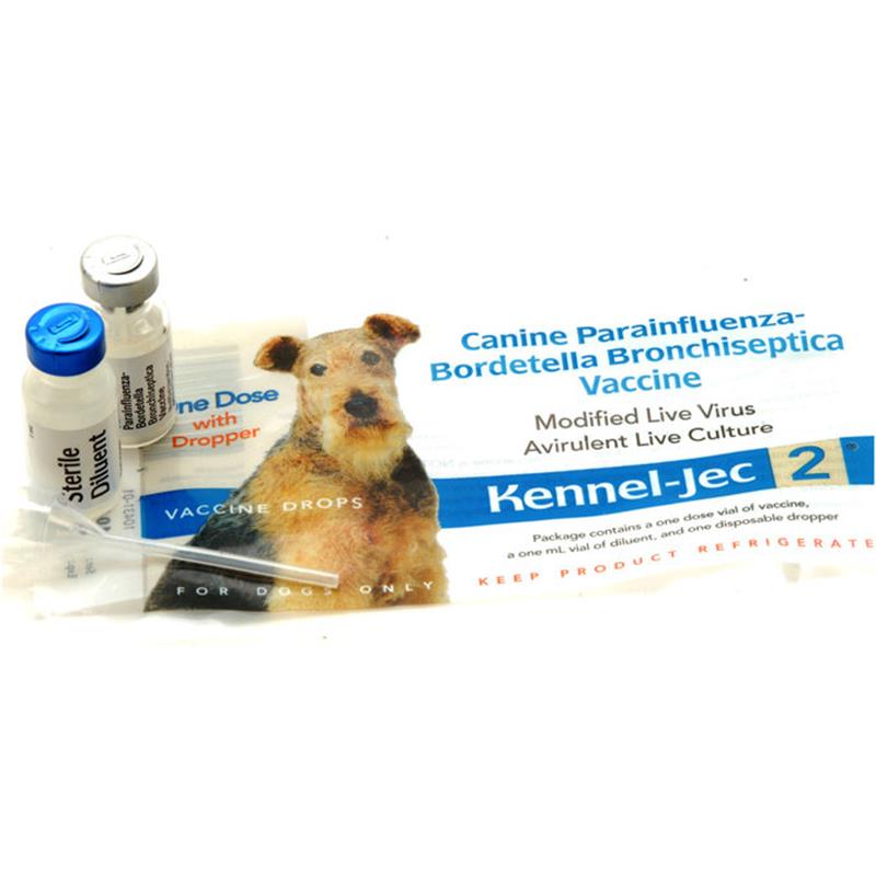 Bordetella Kennel Cough Vaccine