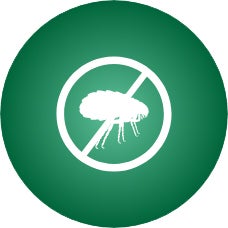 No ticks and fleas icon