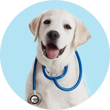 Shop by Category Pet Pharmacy