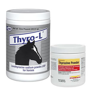 Horse Thyroid Meds